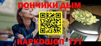 шишки Обь