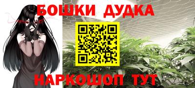шишки Обь