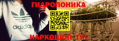 шишки Обь