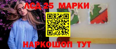 шишки Обь